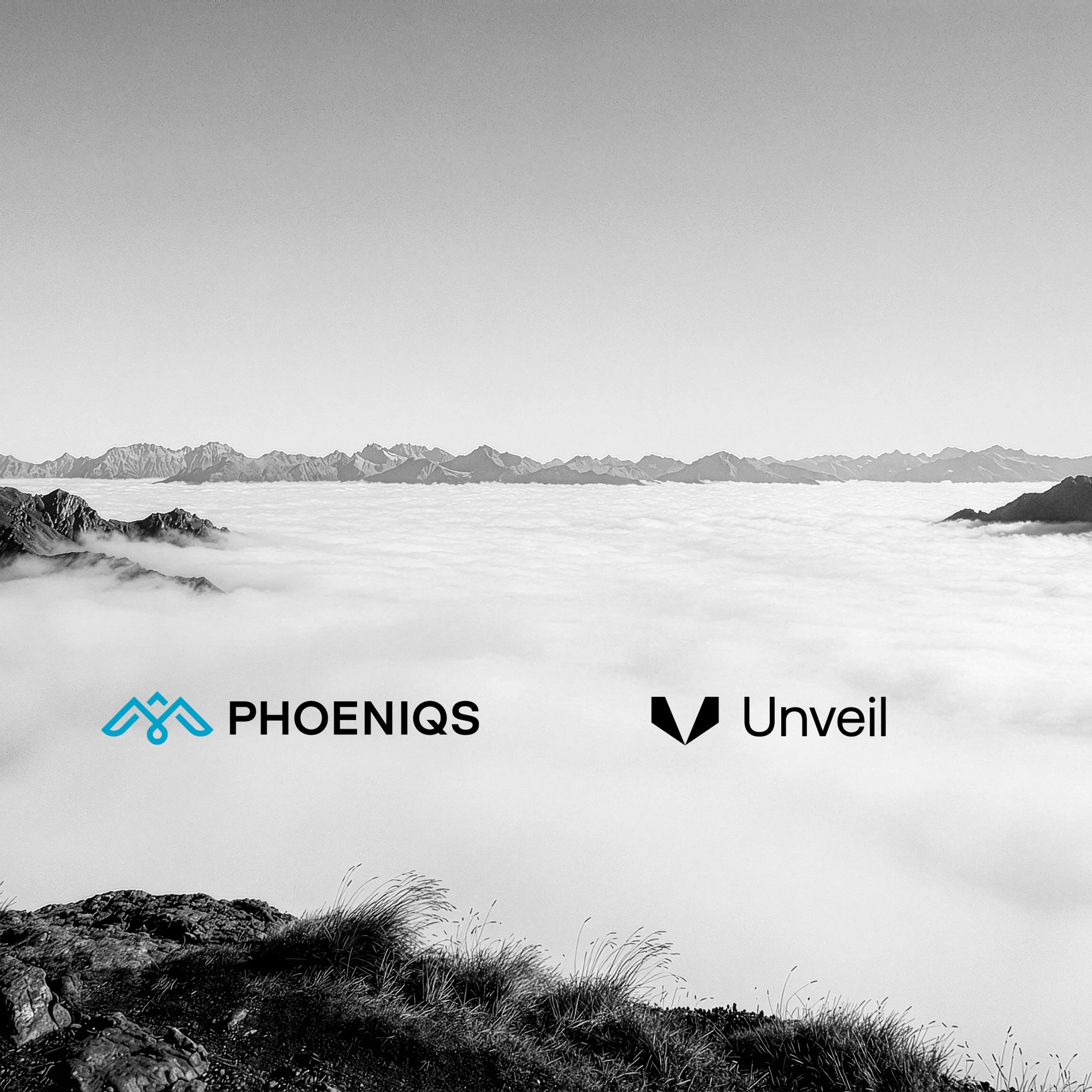 PHOENIX-SYSTEMS